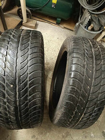 Sava Eskimo S3+ 205/55 R16 91T