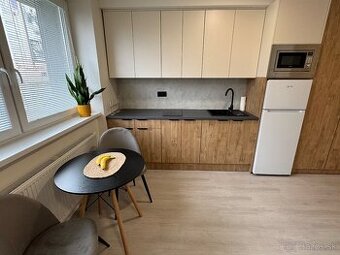 1izb byt / 1-Bedroom Apartment in the City Center