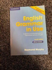 English Grammar In Use