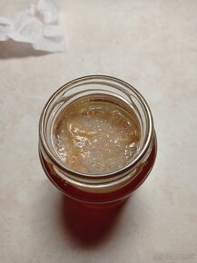 Scoby huba