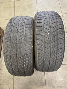 225/50 R17 Best Drive (zimné)