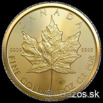 Zlatá investičná minca Maple Leaf 1 Oz