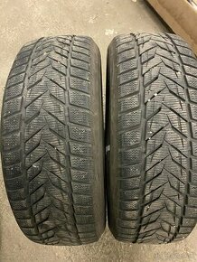 225/60 R17 VREDESTEIN ZIMNE - 1