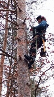 Rizikove pilenie, Ovoc. rez, Zive ploty, Oplotenie, Kosenie