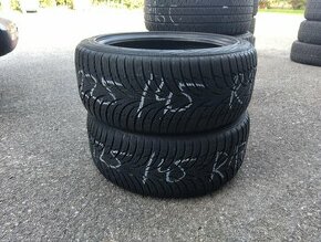 Nokian WR D3 225/45 R17 91H