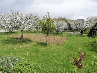 Záhrada v sade 600-ročnice Prievidza