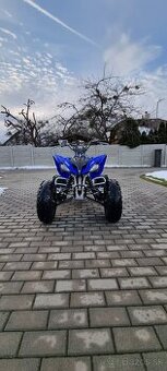 Yamaha Raptor 250