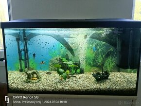 100L aquarium