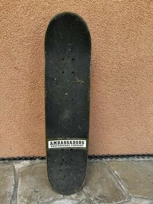 Skateboard Ambasadors