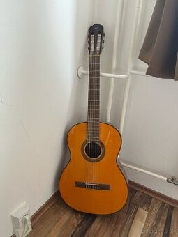 Gitara Takamine - 1