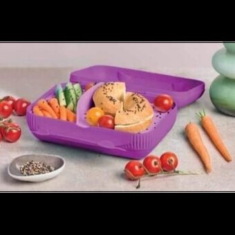 Tupperware Eco Variant Box - 1