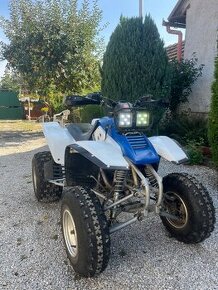 Yamaha warrior 350