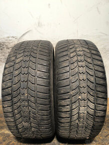 225/50 R17 Zimné pneumatiky Sava Eskimo 2 kusy