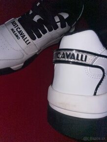 Cavalli