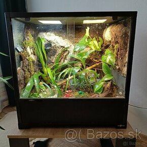 Terarium 60x45x60