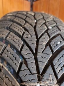 Zimne 195/65 R15