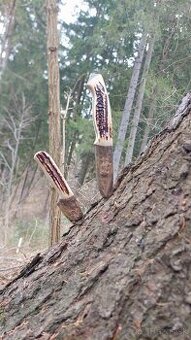 Lovecké nože / Poľovnícke nože / Bushcraft nože