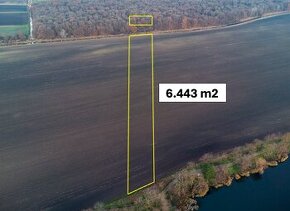 Vysoká pri Morave - 6.443 m2 ORNÁ PÔDA a LES