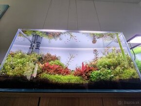 Akvarium