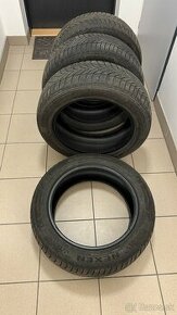 215/55R17 98V, Nexen, WINGUARD SPORT 2 (WU7), zimne