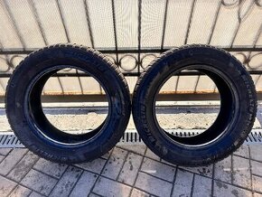 205/60 r16 zimné