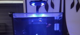 Svetlo morské akvárium Maxspect Jump LED Blue 65w - 1