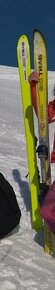 Predam ski alp lyze 167cm