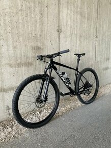 Specialized EPIC - RockShox SID, "L"