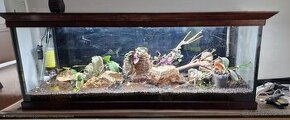 predám 500l aqvarium