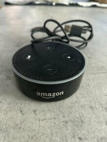 Echo alexa amazon