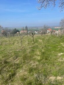 Pozemok v Skalici   EXKLUZÍVNE LEN U NÁS