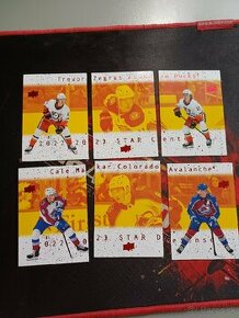 Hokejove karty / kartičky puzzle