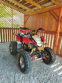 ATV Bashan 250