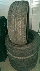 Paxaro 225/55 r17 v xl