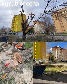 Výrub stromov, rizikové pílenie, štiepkovanie frézovanie pňa