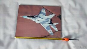 Obrazy Mig -29  Slovenske letectvo