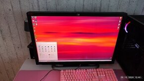 HP 30" Monitor