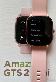 Amazfit GTS 2 Mini (Flamingo Pink)