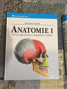 Anatomie - Čihák 1, 2, 3