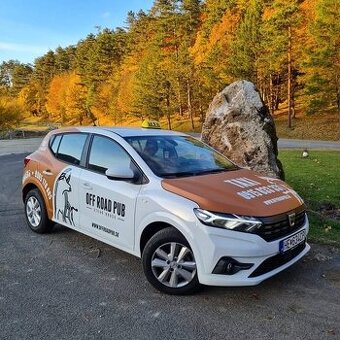 Prijmeme vodiča taxislužby