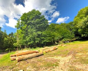 Smolnícka Huta - 1.900 m2 LES - Na predaj