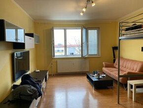 1 bedroom apartment for 2 months