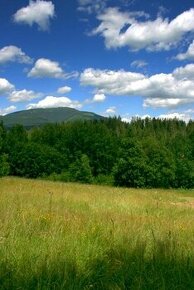 Predám pozemky, NAJVYŠŠEJ PONUKE