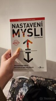 Nastavení mysli