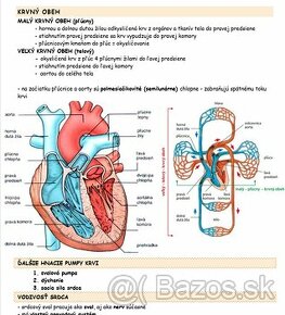 Prijímačky fyzioterapia, farmácia, dentálna hygiena