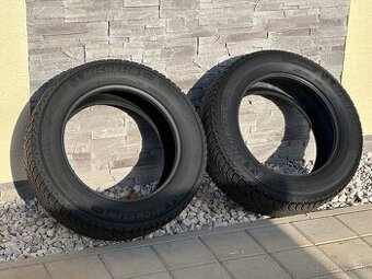 225/60 R17 103H XL zimné MICHELIN - 1