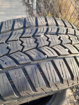 205/60 r16 Sava Eskimo m+s