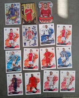 Kartičky Match Attax - 1