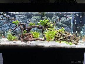 Akvarium