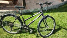 Fialový Horský bicykel